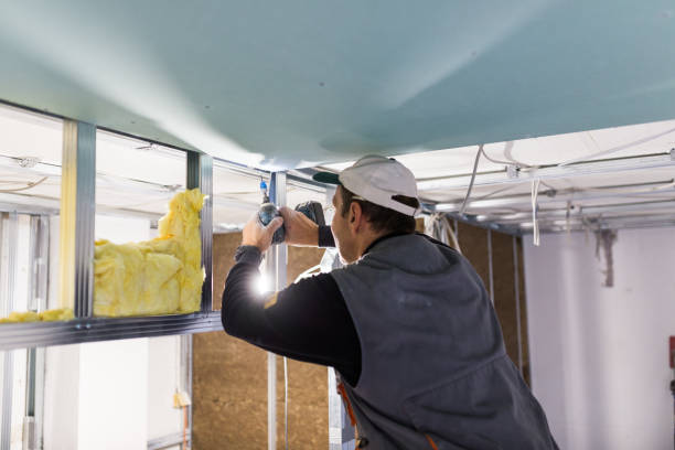 Best Home Insulation Services  in Beaufort, NC