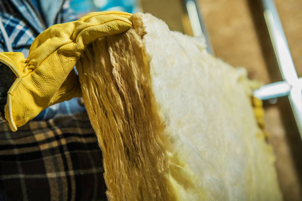 Best Cellulose Insulation  in Beaufort, NC