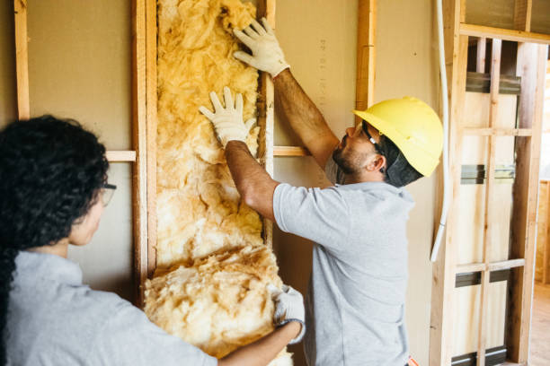 Best Insulation Removal Services  in Beaufort, NC