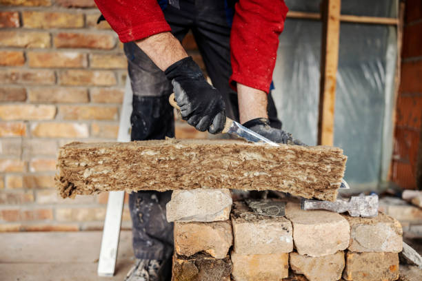 Best Insulation Removal  in Beaufort, NC