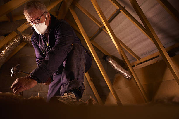 Insulation Replacement Services in Beaufort, NC